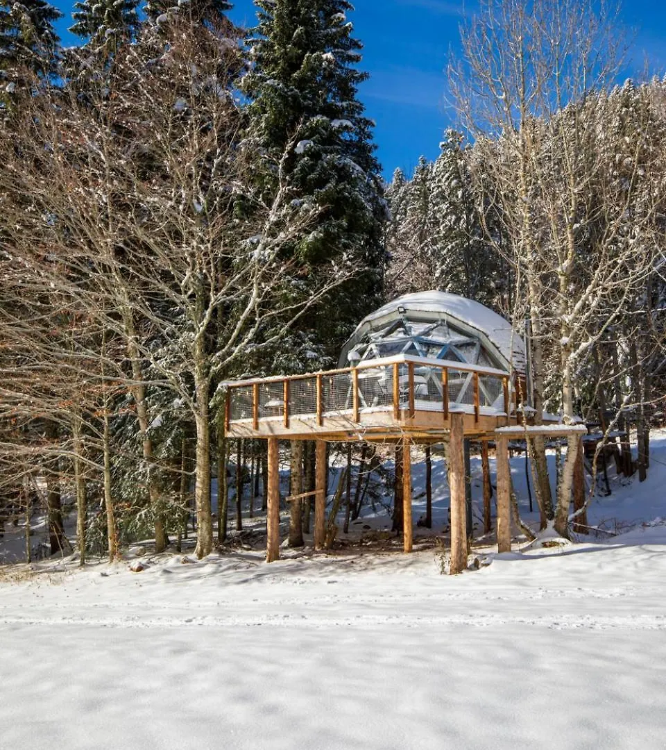 Holiday home Dome Panoramique Tout Confort Au Coeur Du Vercors Autrans-Meaudre-en-Vercors